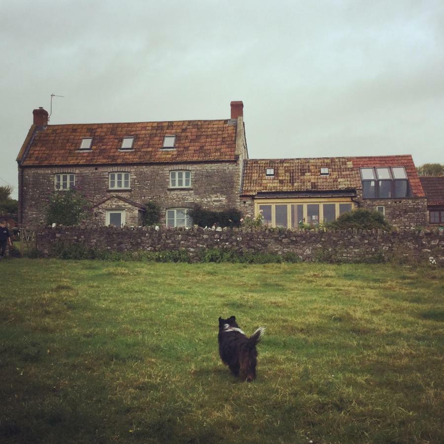 Castle Farm Bed and Breakfast Wedmore Exterior foto